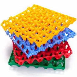 Egg Crates *12(Jumbo)