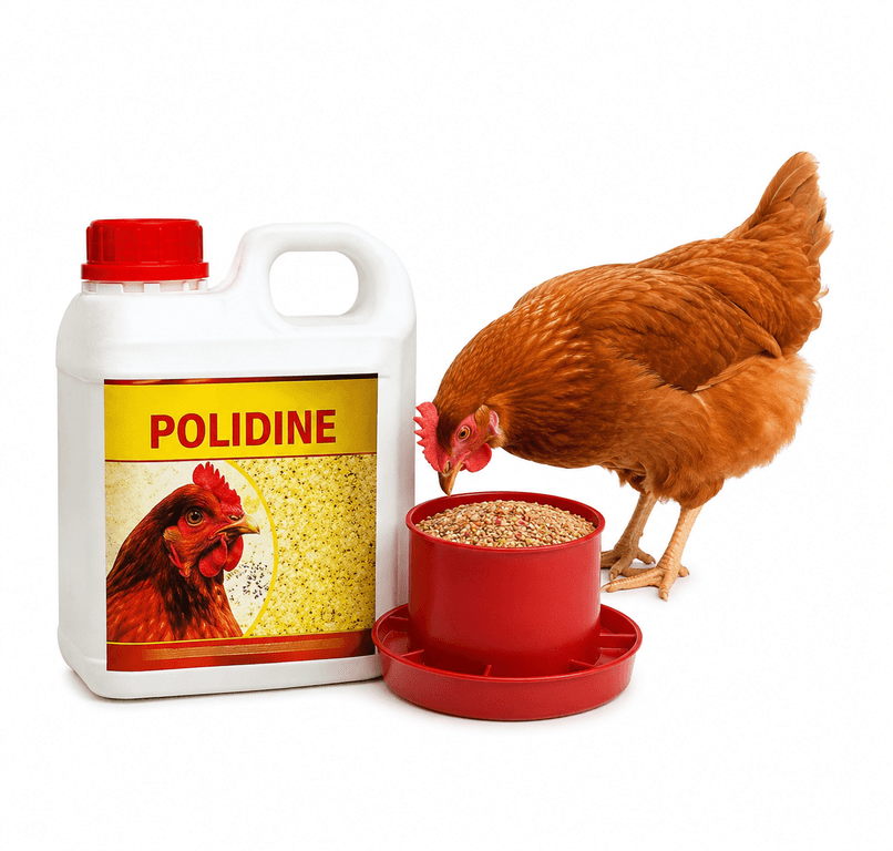 Polidine 1Ltr