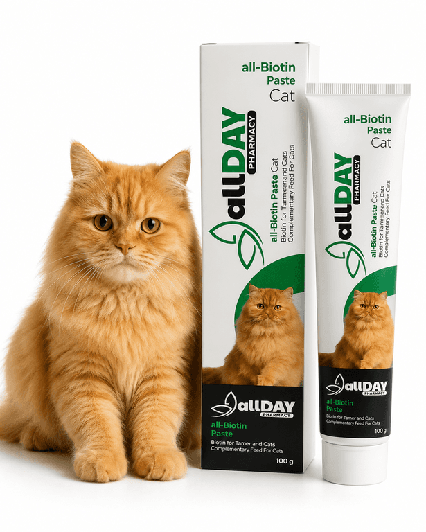 Allday Biotin Paste